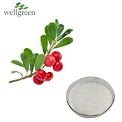 Aigéad Ursolic Púdar