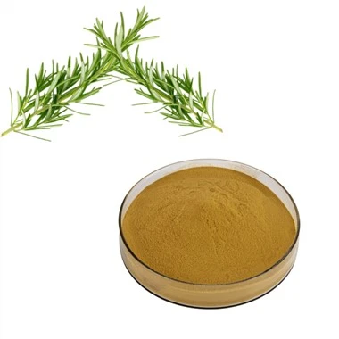 Sliocht Duille Rosemary