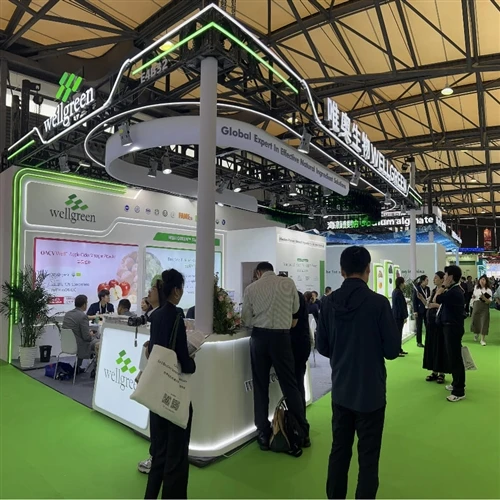 Beo Ag CPHI An tSín: Buaicphointí Wellgreen Seachadadh Casta Ag Booth E4B32